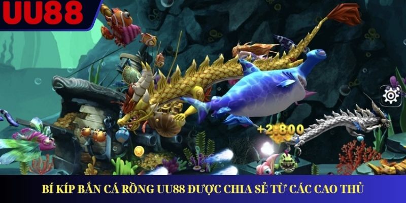 Bí kíp bắn cá Rồng UU88 được chia sẻ từ các cao thủ