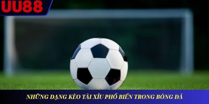 Những dạng kèo Tài Xỉu phổ biến trong bóng đá